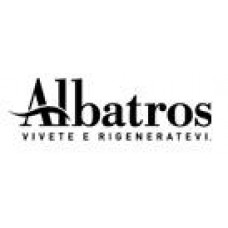 Albatros Картридж пяти позиционный переключателя функций смесителя душевой кабины, артикул: 4R2209999 